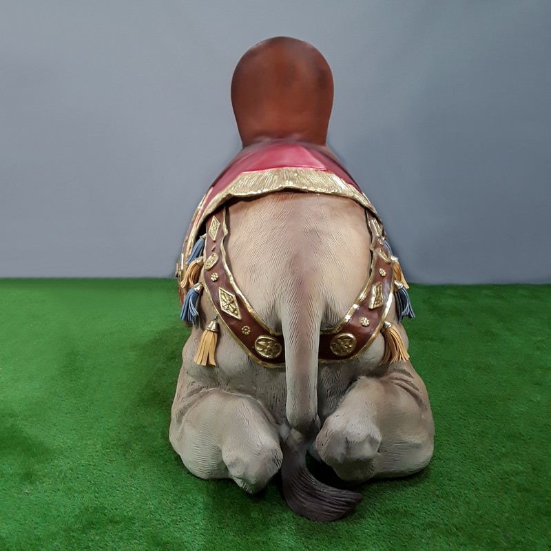 camel sultan nlcdeco