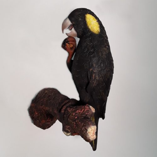 Cacatoès noir décoration exotique nlcdeco