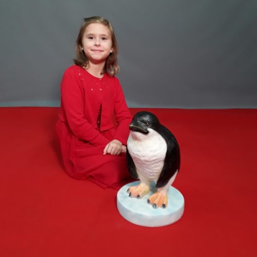 Petit pingouin nlcdeco