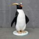 Pingouin gorfou sauteur nlcdeco