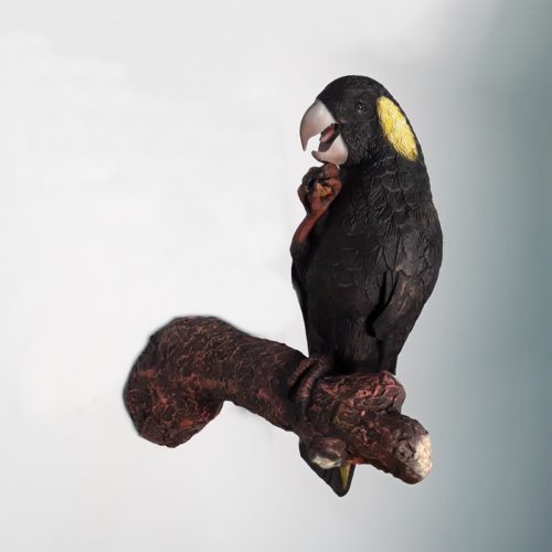 oiseau exotique décoration murale nlcdeco