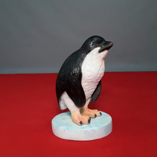petit Pingouin Pygmée nlcdeco