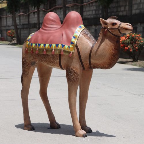 Camel nlcdeco