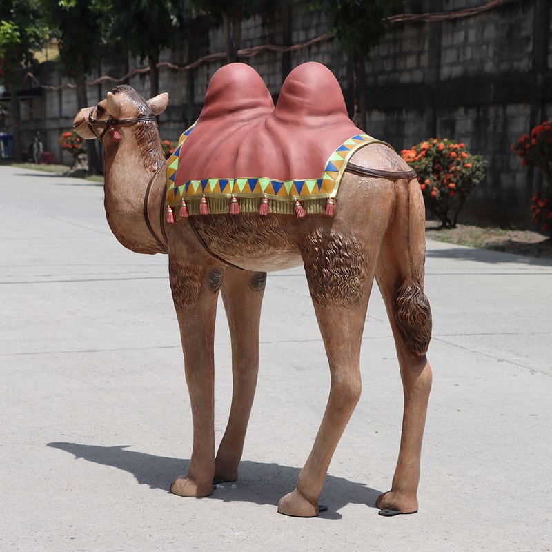 chameau animal du désert nlcdeco