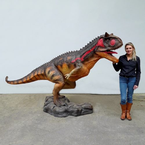 reproduction Carnotaurus 3 mètres de