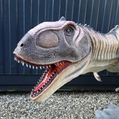 reproduction d'une tête d'un Majungasaurus nlcdeco