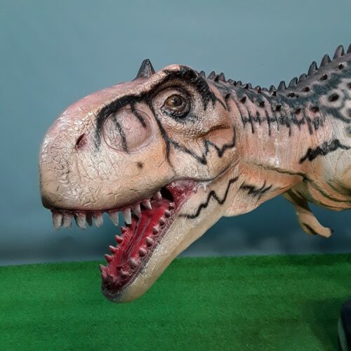 reproduction tête du Majungasaurus nlcdeco