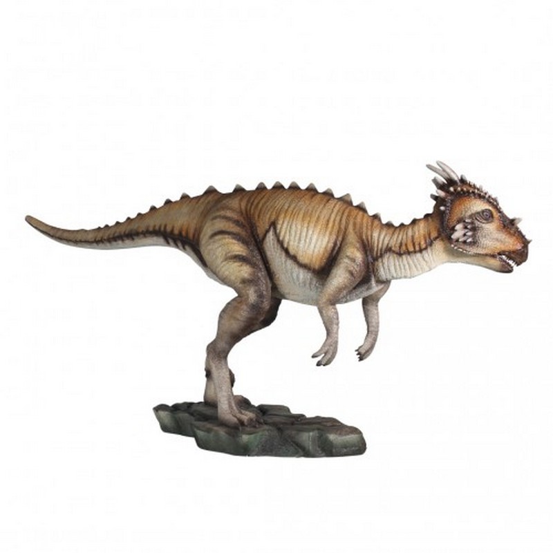 Dracorex roi des dragons nlcdeco