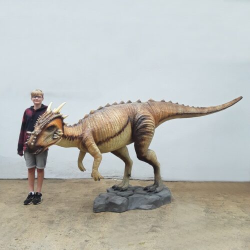 Reproduction céramique Dracorex taille réelle nlcdeco