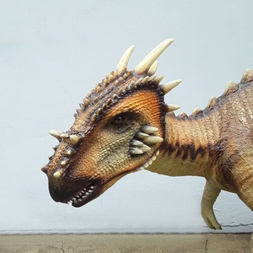 Tête du Dracorex 3D nlcdeco