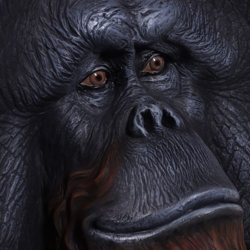 visage de l'orang-outan nlcdeco