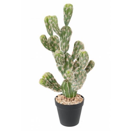 reproduction Cactus echinocereus artificiel nlcdeco