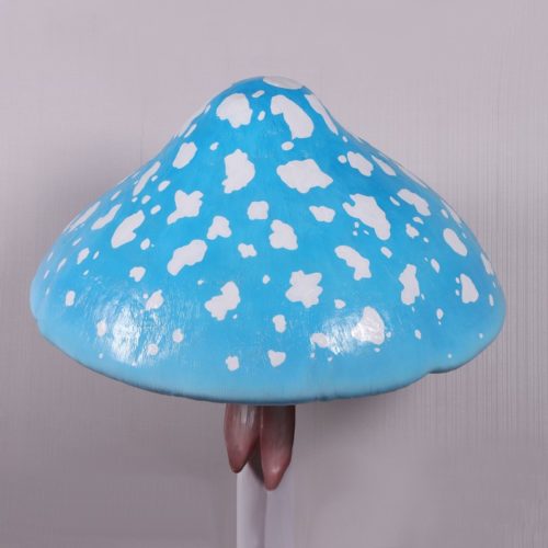 Chapeau bleuté du champignon nlcdeco