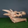 Crâne de dragon squelette nlcdeco