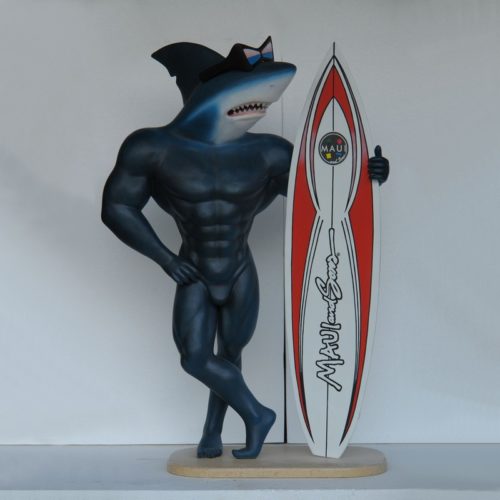 Requin surfeur nlcdeco
