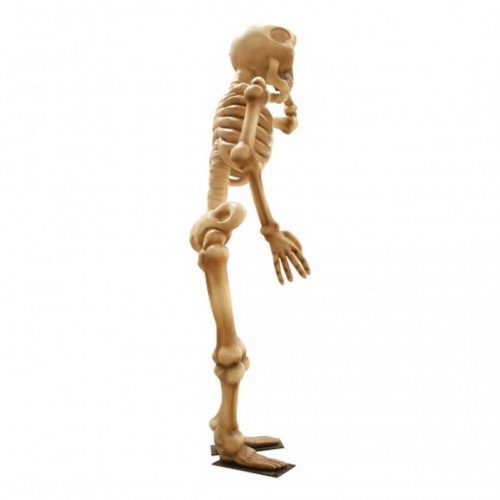 Décor résine humoristique squelette humain géant nlcdeco