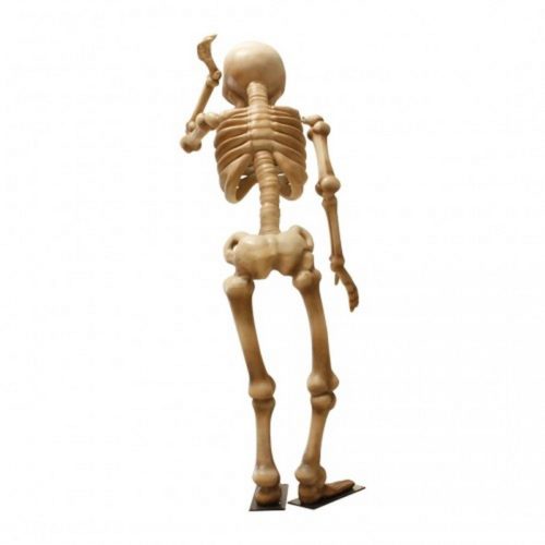 human skeleton halloween decor nlcdeco