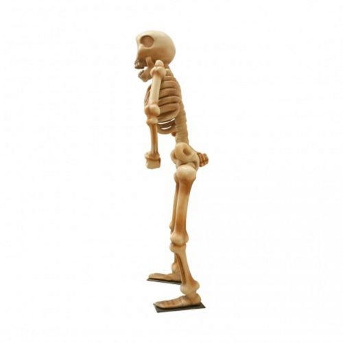 squelette géant qui danse nlcdeco