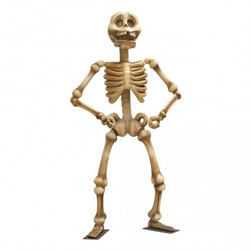 squelette humain drôle nlcdeco