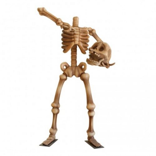 squelette sans tête nlcdeco