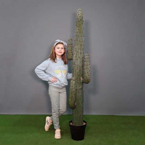 Reproduction d'un cactus du Mexique artificiel nlcdeco