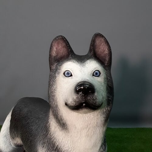 Husky au yeux bleus nlcdeco
