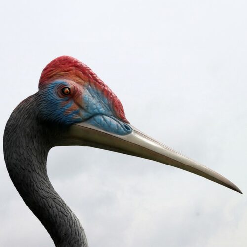 dinosaure tête d'oiseau Quetzalcoatlus nlcdeco