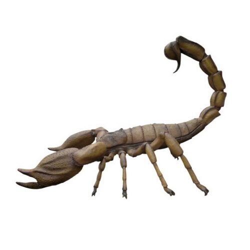 Insecte scorpion géant 365 cm de long nlcdeco