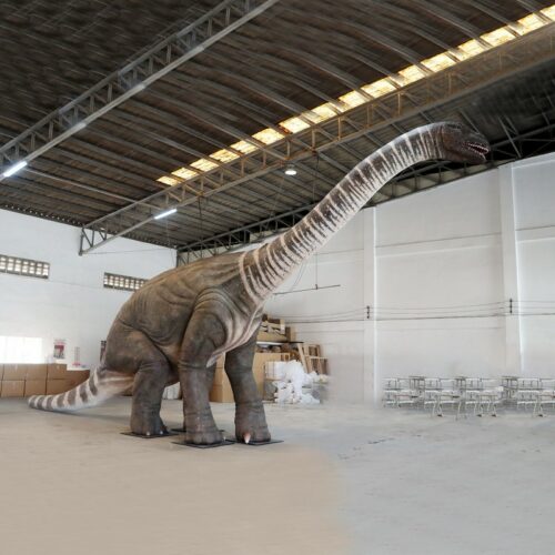 Rhoetosaurus Brownei 13 m de long nlcdeco