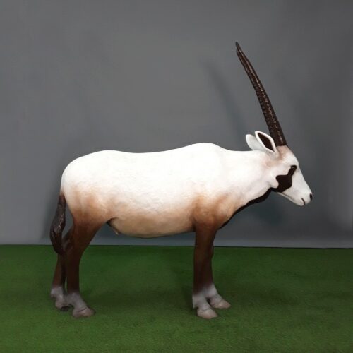 Statue Oryx d'Arabie taille réelle