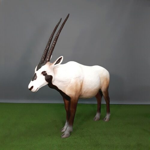décor animalier Oryx d'Arabie