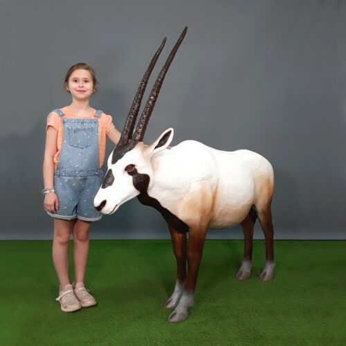 décor parc exotique Oryx d'Arabie