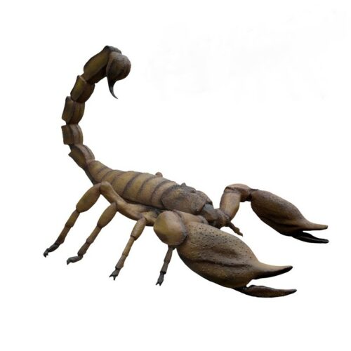 reproduction scorpion géant nlcdeco