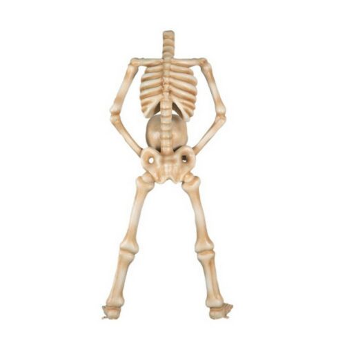Skeleton Holding Head nlcdeco