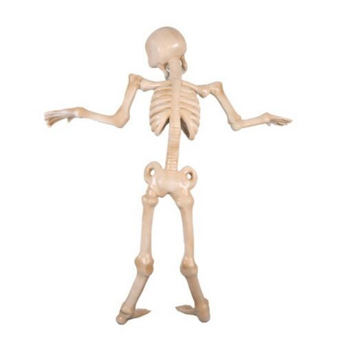 Skeleton Zombie nlcdeco