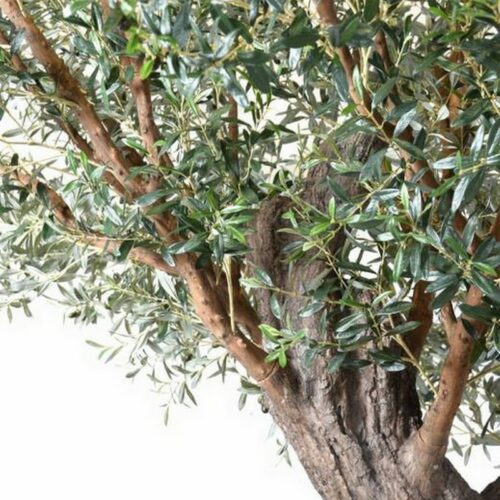 feuillage artificiel d'un olivier nlcdeco