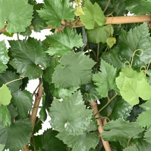 feuilles de vigne artificiel en tergal nlcdeco
