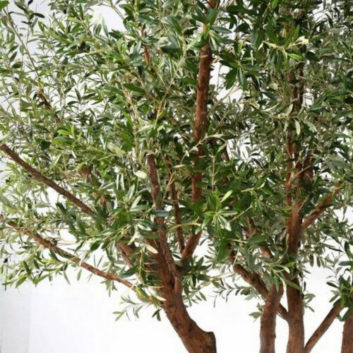 feuilles d'olivier décor factice nlcdeco