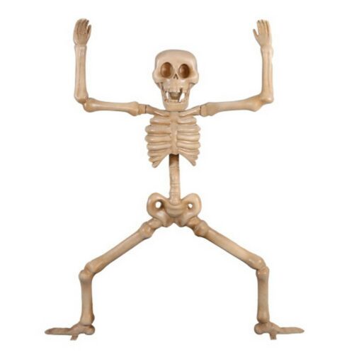 grand squelette humoristique de 2 mètres nlcdeco