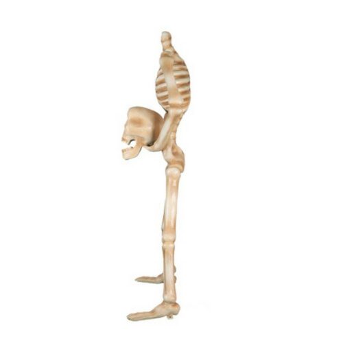humorous skeleton statue nlcdeco