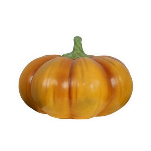 petite courge nlcdeco