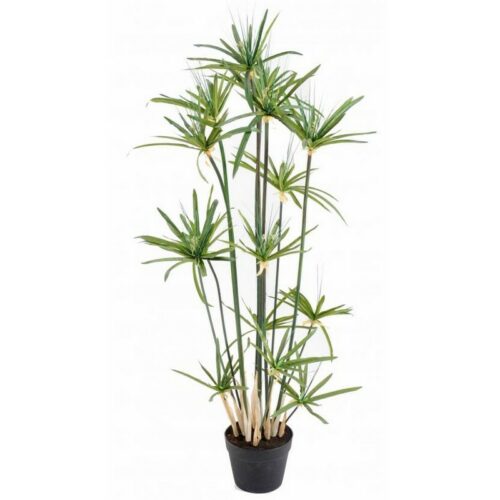 plante artificielle Papyrus Alternifolius nlcdeco