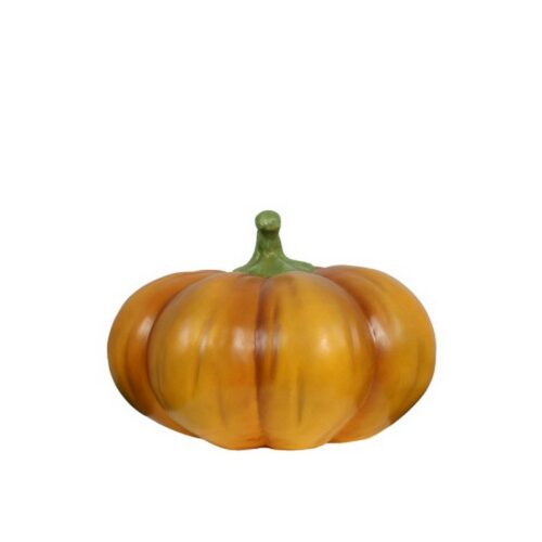 reproduction d'une courge nlcdeco