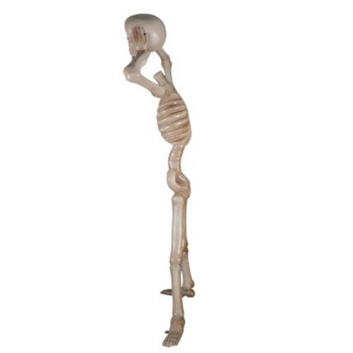 reproduction squelette sans tête nlcdeco