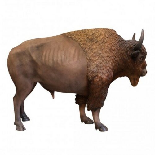 reproduction taille réelle bison nlcdeco
