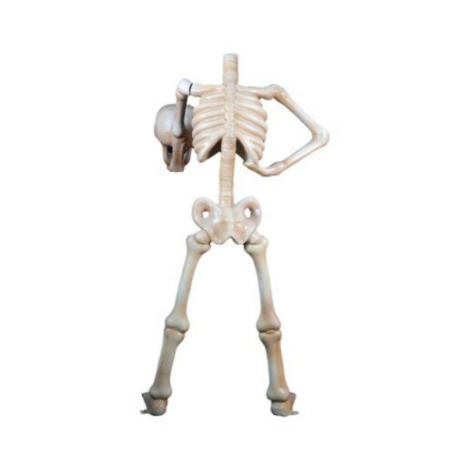 skeleton statue that exposes its head nlcdeco