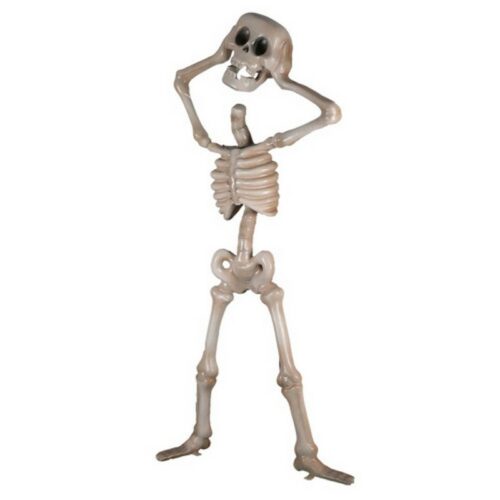 squelette de 2 mètres sans tête nlcdeco