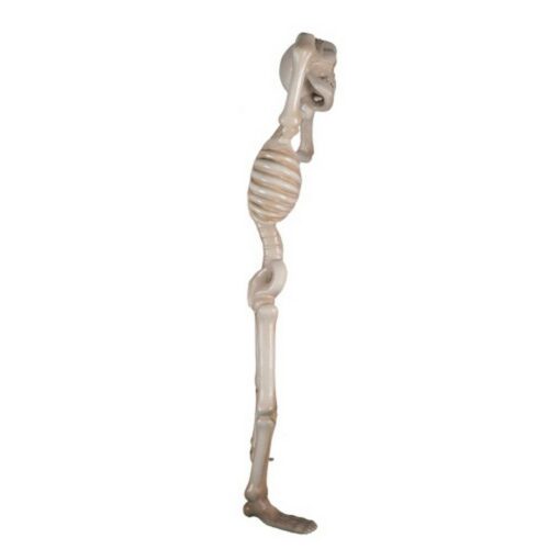 squelette sans tête décoratif nlcdeco