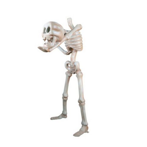 statue comique squelette qui expose sa tête nlcdeco