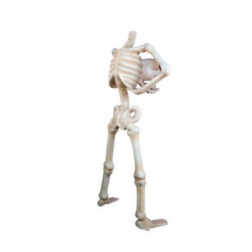 statue décorative squelette qui expose sa tête nlcdeco